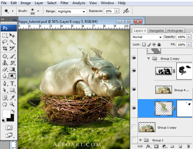 hippo, photoshop, nest, egg, shell, flying hippo, cute, baby, wings, hippopotamus, feathers